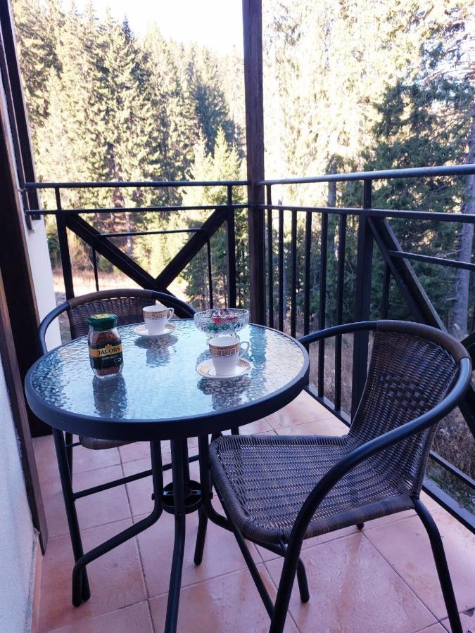 Pamporovo Apartment The Castle Екстер'єр фото